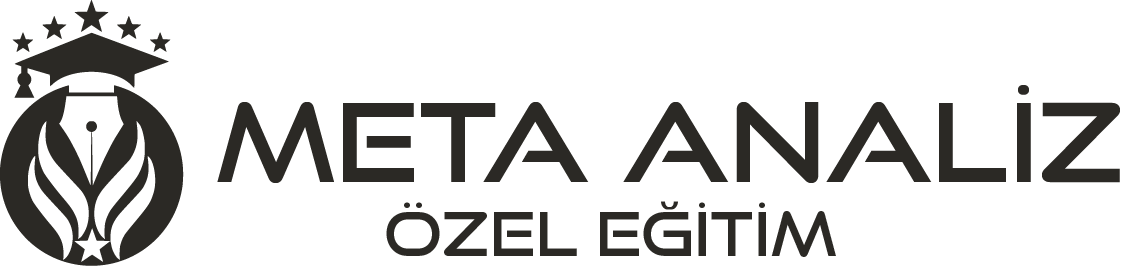Meta Analiz Özel Eğitim