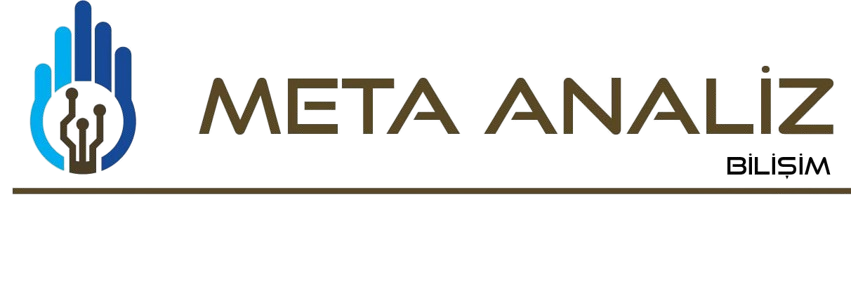 Meta Analiz Bilişim